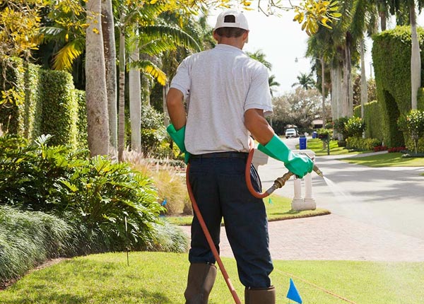 About Rainelle WV Pest Control